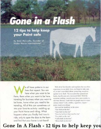 Gone In A Flash - 12 tips to help keep your Paint horse safe